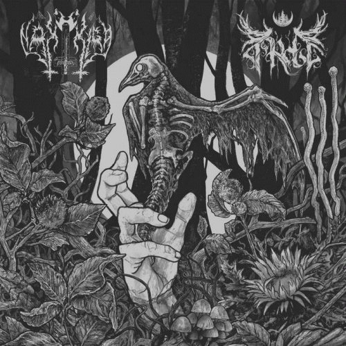 Nakkiga : Nakkiga - Arde